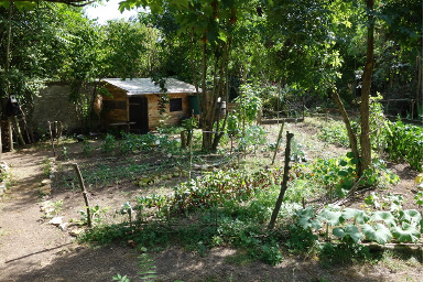 DSC03390